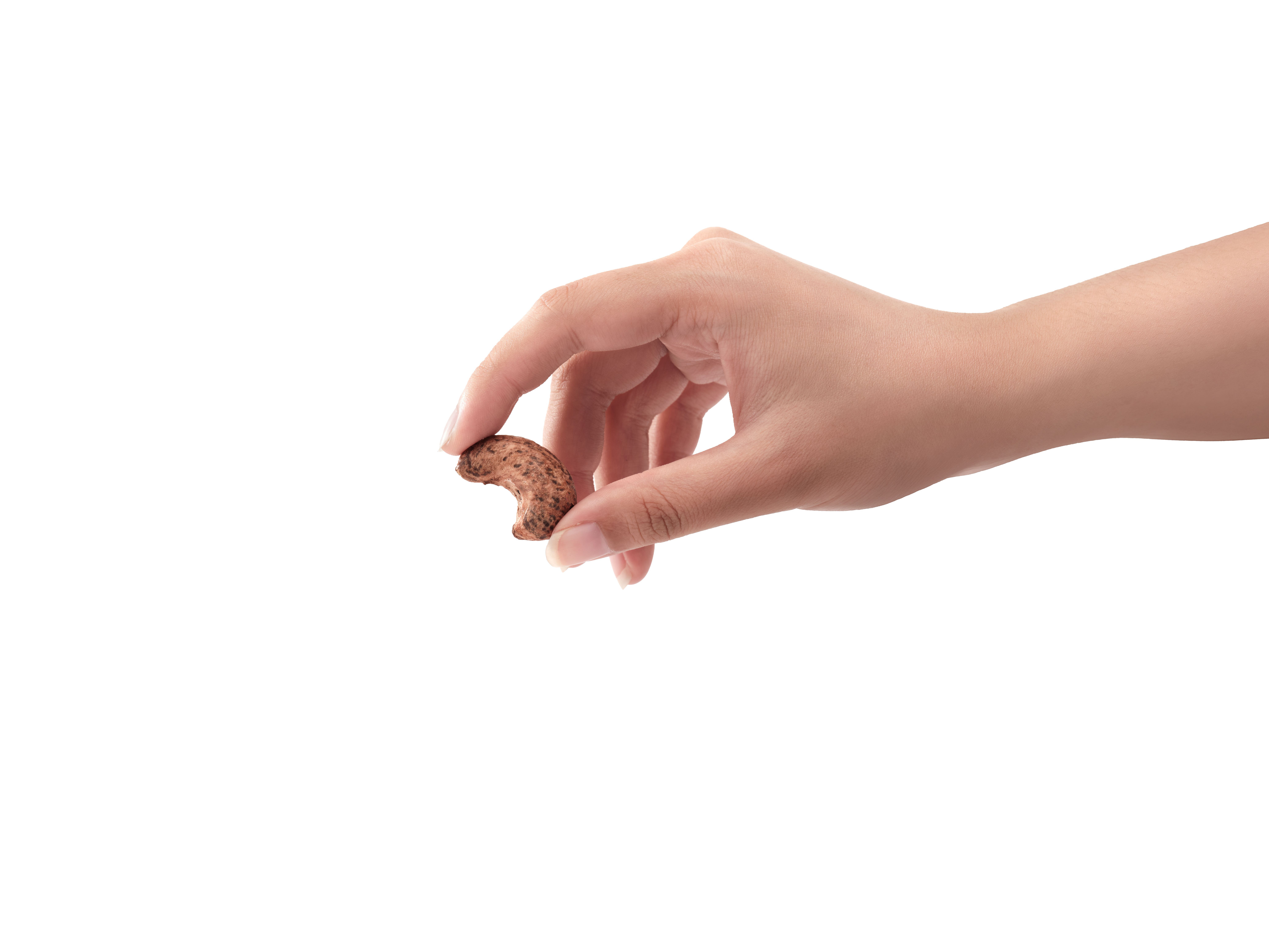 캐슈넛 비교 사진을 넣어야 함