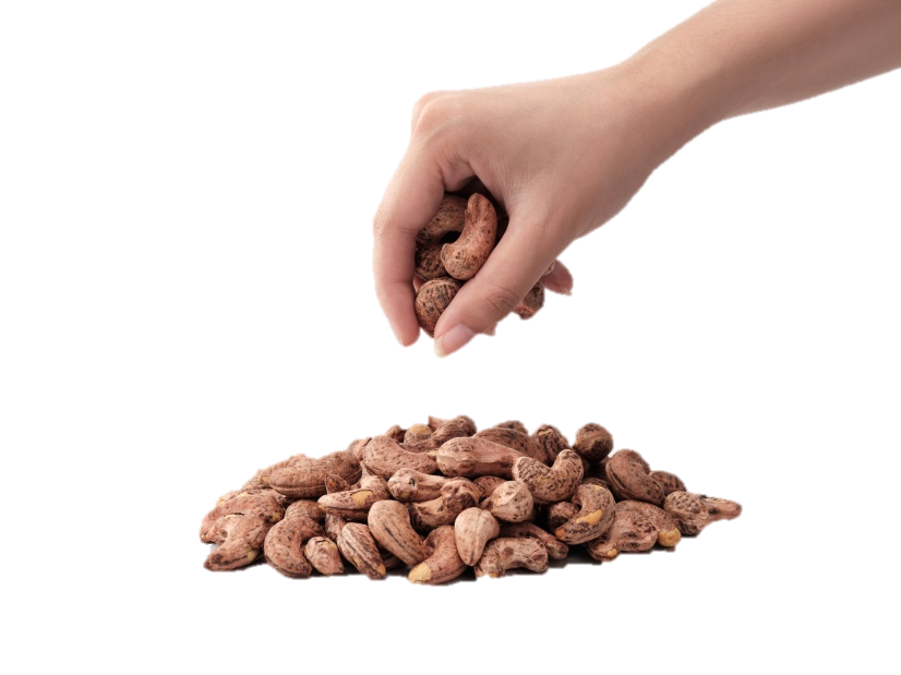 캐슈넛 비교 사진을 넣어야 함